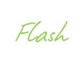 Flash logo Flash logo