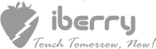 iBerry logo