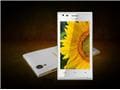 Xolo A550s IPS phone