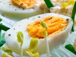 Egg-stacy