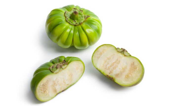 African Eggplant African Eggplant