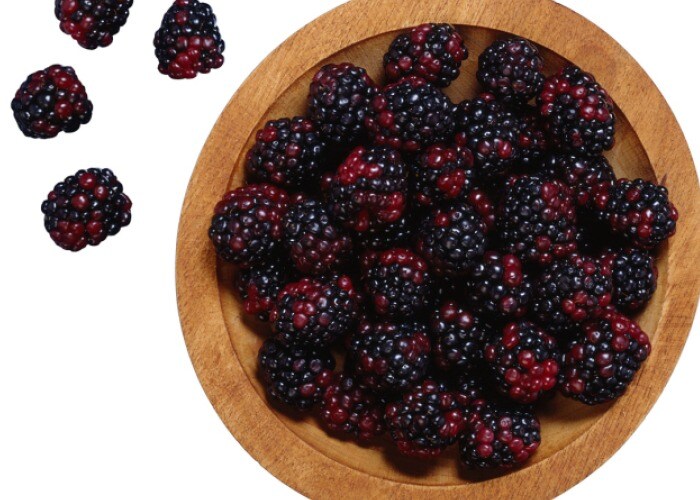 Boysenberry Boysenberry