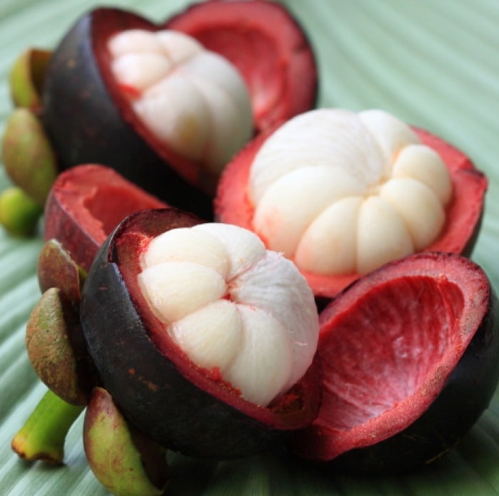 Mangosteen Mangosteen