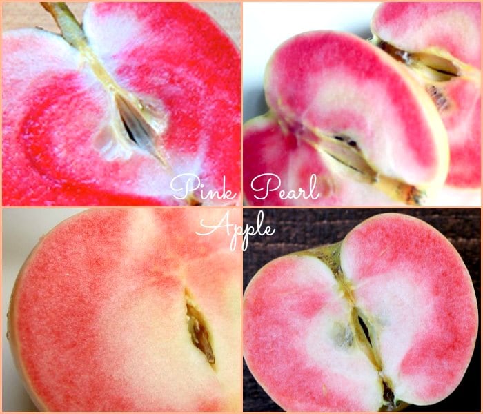 Pink Pearl Apple Pink Pearl Apple