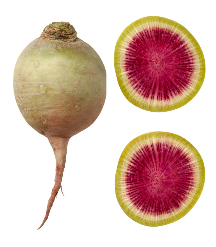 Watermelon Radish Watermelon Radish