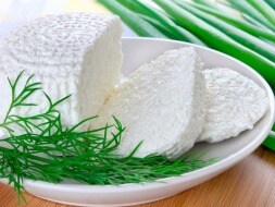 Timeless Paneer Recipes