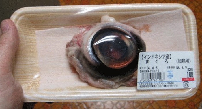 tuna eyeballs food