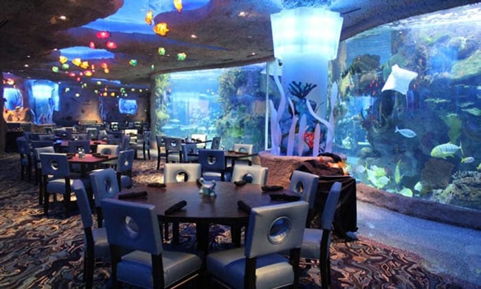 The Most Beautiful Underwater Restaurants in the World