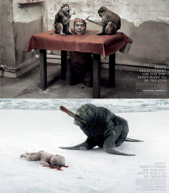 animal cruelty ads. problem of animal cruelty,