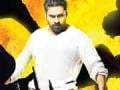 New Posters: Pawan Kalyan's <I>Panjaa</i>