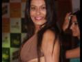 Payal Rohatgi's gown plays peek-a-boo