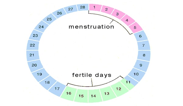 Irregular Period Could I Be Pregnant 52