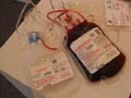 Photo : Myths about blood donation