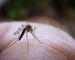 Tips to help prevent dengue