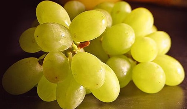 grapes.jpg