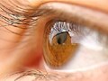 Foods for healthy eyes