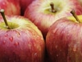 10 foods that help prevent acne