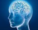 Stroke: nature, causes, prevention