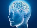 Stroke: nature, causes, prevention