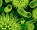 NDM-1: A new health threat