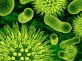 NDM-1: A new health threat