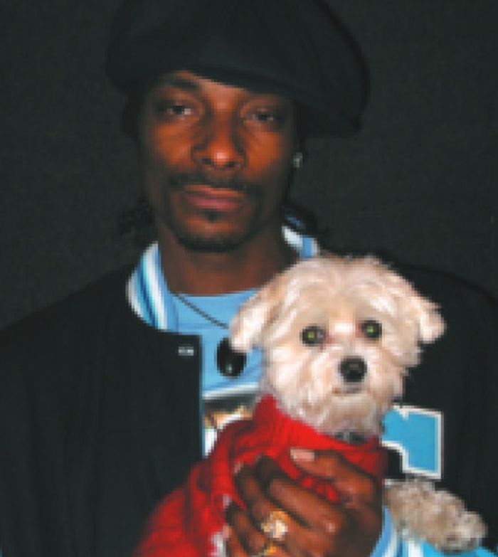 Watch Snoop Doggs Father Hood Episodes Online SideReel