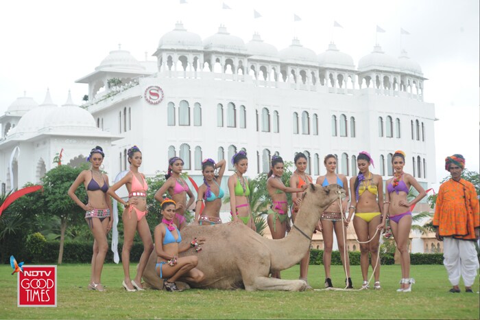 KF Calendar Hunt: Wild Things