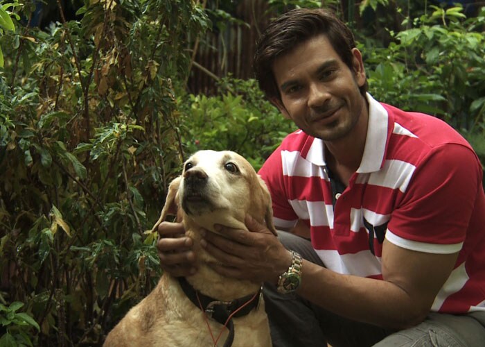 Heavy Petting with the Lalwanis and their pets