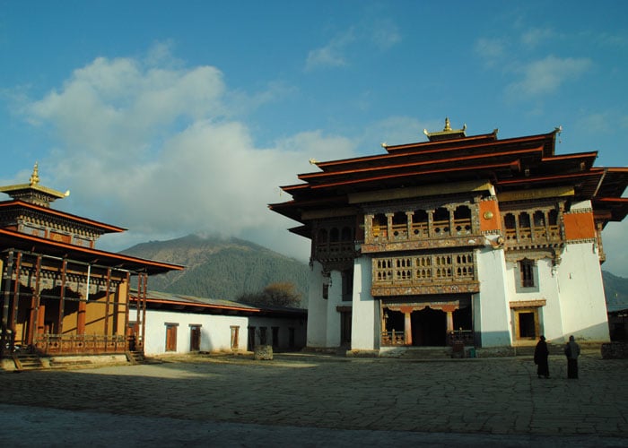 pic1.jpg