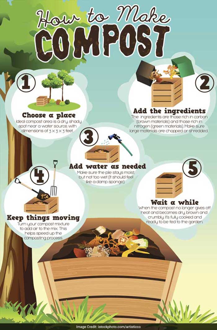 5 Simple Steps To Turn Household Waste Into Compost Photo Gallery