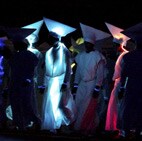 IPL 3: Opening ceremony