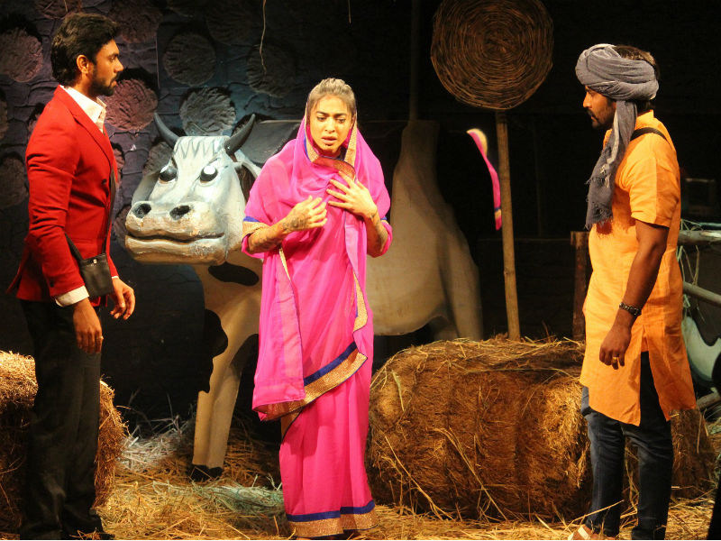 बिग बॉस 10 : 'वायरल वीडियो फीवर' की तैयारी में प्रतिभागी