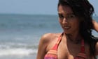 

Kingfisher Calendar Hunt