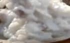 

Sharife ki kheer