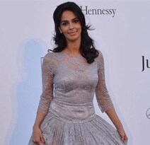 Mallika Sherawat: India is a hypocritical society