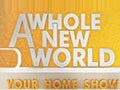  

A Whole New World