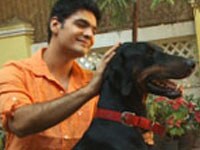 

Three dogs who add the “woof” factor
