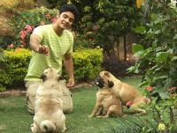 


Family with a grand total of 11 dogs named after an alcoholic beverage