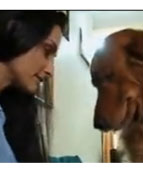 

Varun-Raageshwari's pampered pooches