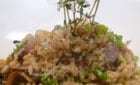  

Risotto Primavera