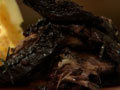 

Roast Lamb With Garlic And Rosemary