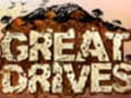  

Great Drives