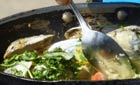 

Garlic Chutney Crusted Scallops and Coconut Braised Clams
