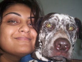 This week's winner of the Tales & Tails contest is Gunjan Pande from Goa.
She writes to us about her brave 6 year old dalmatian, Zia. Gunjan says: One night when Zia was only one and a half years old, I was woken up in the middle of the night by strange sounds coming from our backyard. I picked up a bamboo stick and went to see what was happening. As soon as I reached i saw Zia tugging at a man’s ankle, and barking ferociously even while the man was throwing stones at her. Soon a crowd gathered and we caught hold of the person only to discover that he was a thief trying to climb the water pipe. The police was immediately called in and soon Zia became the resident hero of our colony and all our hearts.