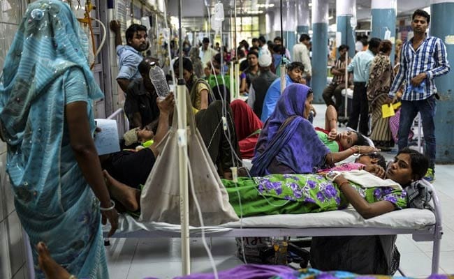AAP to Set Up 'Fever Clinics' in Delhi, Offer Free Dengue Treatment
