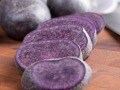 Foods you probably haven't heard of!