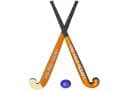 Ranchi Rhinos beat Delhi waveriders by 2-1
