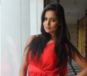 http://drop.ndtv.com/uploads/kingfisher2010/b27.jpg