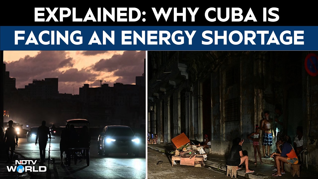 The Art of Baking: From Classic Bread to Artisan Pastries