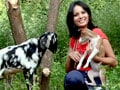 Heavy Petting amidst the beaches of Goa